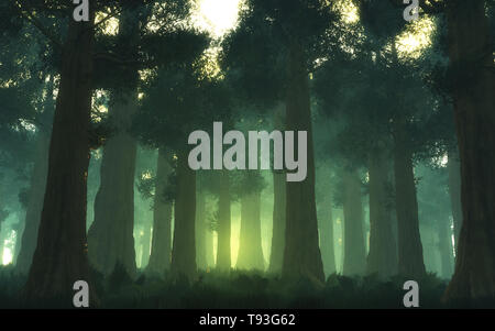 Illustration tridimensionnelle de la forêt. Brouillard vert volumétrique et coucher de soleil derrière les arbres Banque D'Images