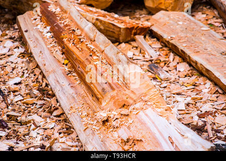 Les copeaux de bois. De couleur jaune vif naturel de copeaux de bois pour protéger les végétaux à fleurs et les pelouses. Avec un lit de fleur fragment. Alternative à une Banque D'Images