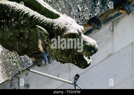 Reims France 15 Mai, 2019 Vue de l'extérieur façade de la cathédrale Notre-Dame de Reims Cathédrale depuis la terrasse sur le toit Banque D'Images