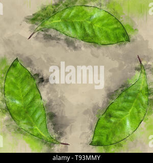 Image de l'amélioré numériquement logo de recyclage créé avec une photo de trois feuilles vertes sur fond blanc Banque D'Images