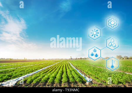 Hautes technologies et innovations dans l'agro-industrie. La qualité de l'étude de sol et de culture. Le travail scientifique et le développement de nouvelles méthodes de sélection et de va Banque D'Images