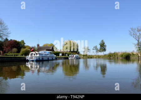 Maison de vacances de croisière amarré à Irstead Staithe sur la rivière Ant, Broads National Park, Norfolk, UK Banque D'Images