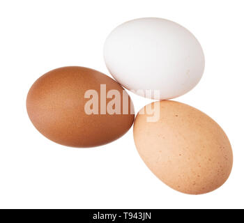 Trois poules, poulets Oeufs isolé sur blanc. Différentes couleurs : blanc, brun et mouchetées. Banque D'Images