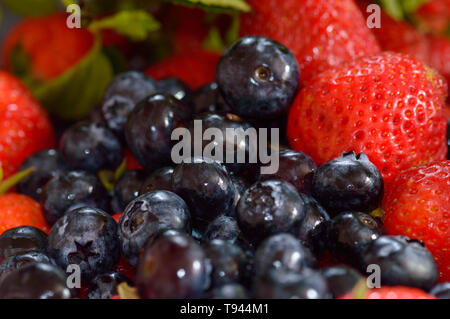 Fraîchement cueilli et lavé les fraises et les bleuets. Concept pour une alimentation saine, des fruits, des plats végétariens et végétaliens, mode de vie, de l'alimentation d'été blog, etc. Copier Banque D'Images