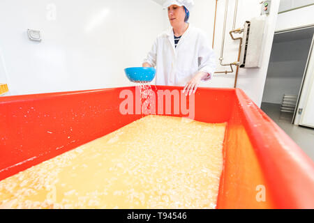 La fabrication du fromage à Brooke à Wye Valley Dairy Company dans la vallée de la Wye, au Pays de Galles. Lait de Jersey est utilisé pour le fromage et la crème glacée. Banque D'Images