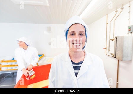 La fabrication du fromage à Brooke à Wye Valley Dairy Company dans la vallée de la Wye, au Pays de Galles. Lait de Jersey est utilisé pour le fromage et la crème glacée. Banque D'Images