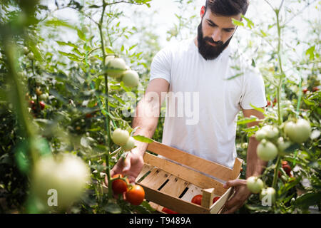 Friendly farmer à l'œuvre dans les émissions de Banque D'Images