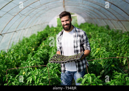 Friendly farmer au travail en serre. Banque D'Images