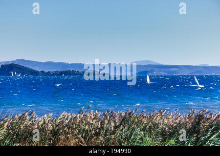 Surfers sur le lac de Bolsena (Italie) - La ville médiévale avec un château sur le lac de Bolsena, la région Latium, en Italie centrale Banque D'Images