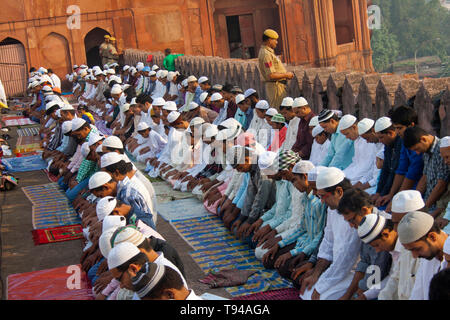 Les dévots musulmans offrent Eid-ul-Fitr prière à Jama Masjid, Meena Bazaar, Chandni Chowk, Delhi, 16 Octobre 2013 Banque D'Images