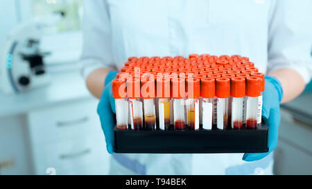 Laboratory scientist holding dans des échantillons de sang a test tube rack. La recherche de sang Banque D'Images