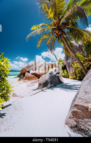 Plage tropicale jusqu'à Anse Source d'argent entre les rochers de granit et de palmiers, l'île de La Digue, aux Seychelles. Banque D'Images