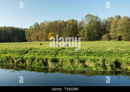 Cercles de hay allongé sur un pré vert près de la forêt d'automne et la rivière Banque D'Images