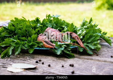 Les écrevisses bouillies rouge avec des herbes sur une plaque sur une planche de bois. Close-up Banque D'Images