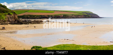 Vue panoramique sur la plage de Meadowsfoot, Mothecombe, South Devon, une crique de sable à l'embouchure de la rivière Erme Banque D'Images