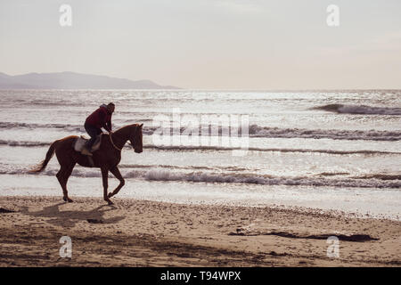 Ayia Eirini, Chypre - 24 mars, 2019 : Man riding marron sur un cheval au galop sur la plage d'Ayia Erini à Chypre contre une mer rugueuse Banque D'Images