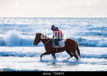 Ayia Eirini, Chypre - 24 mars, 2019 : Man riding marron sur un cheval au galop dans les eaux de mer de la plage de Ayia Erini à Chypre contre une mer rugueuse Banque D'Images
