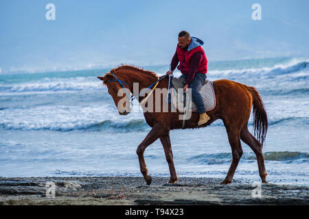 Ayia Eirini, Chypre - 24 mars, 2019 : Man riding marron sur un cheval au galop sur la plage d'Ayia Erini à Chypre contre une mer rugueuse Banque D'Images