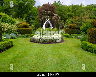 Chenies Manor Topiary jardin au printemps avec des tulipes perroquet blanc à rayures et topiaires, pelouse ; un nouveau petit jardin design en vert et blanc. Banque D'Images