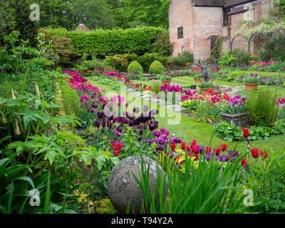 Chenies Manor House sunken garden au printemps avec des tulipes Banque D'Images