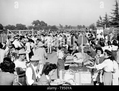 Intitulé : "famille des groupes d'identifier leurs bagages à main avant le départ de l'Assemblée générale au centre de Santa Anita, Californie.' l'internement des Américains d'origine japonaise pendant la DEUXIÈME GUERRE MONDIALE ont la réinstallation forcée et d'incarcération dans des camps de 110,000-120 000 personnes d'origine japonaise (62  % des internés étaient citoyens américains) commandé par le président Roosevelt peu après le Japon attaque sur Pearl Harbor. Américains ont été incarcérés en se fondant sur les concentrations de population locale et la politique régionale. Banque D'Images