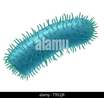 Illustration le virus de la rage. Virus de la rage est un virus neurotrope qui cause la rage chez les humains et les animaux. Le virus de la rage a une morphologie cylindrique et est l'espèce type du genre Lyssavirus de la famille des Rhabdoviridae. Banque D'Images