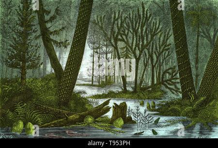 Voir l'idéal d'une forêt marécageuse de la période du charbon, de Louis Figuier a le monde avant le déluge, 1867 American edition. Sur la droite sont Lepidodendron Sigillaria et arbres, avec une fougère arborescente passant entre eux. Sur la gauche sont un autre Sigillaria, un Sphenophyllum et d'un conifère. D'autres plantes sont visibles, Asterophyllites Calamites et herbacées de fougères. Un peu de poisson et les amphibiens primitifs Archegosaurus sont dans l'eau. Banque D'Images