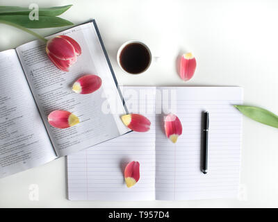 Mise à plat de la Bible avec le rouge, le rose et les pétales des tulipes. Open Journal, ordinateur portable sur fond blanc. En outre : thé noir, stylo noir, liste des croix. Banque D'Images