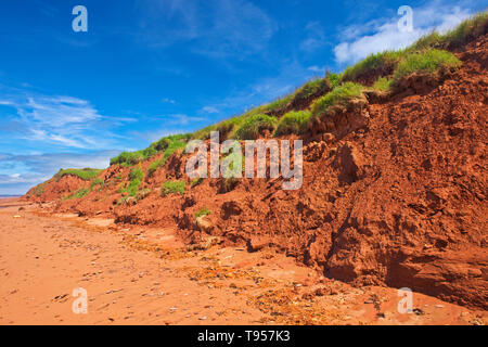 Sable rouge et bluffs le long du détroit de Northumberland Campbelton Prince Edward Island Canada Banque D'Images