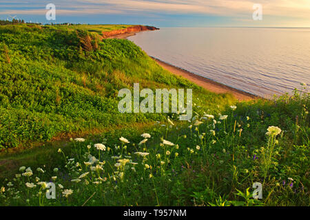 Sable rouge et bluffs le long du détroit de Northumberland Campbelton Prince Edward Island Canada Banque D'Images