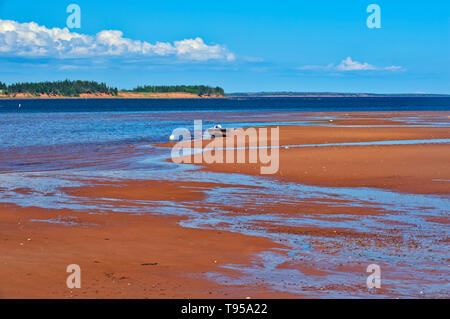 Plage de sable rouge, à marée basse. Détroit de Northumberland Lower Montague Prince Edward Island Canada Banque D'Images