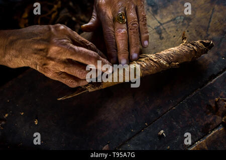 Mains de Laura Peña, un 67-ans femme salvadorienne, sont considérés tout en roulant les feuilles de tabac, cigares faits à la main pour rendre à Suchitoto, El Salvador. Banque D'Images