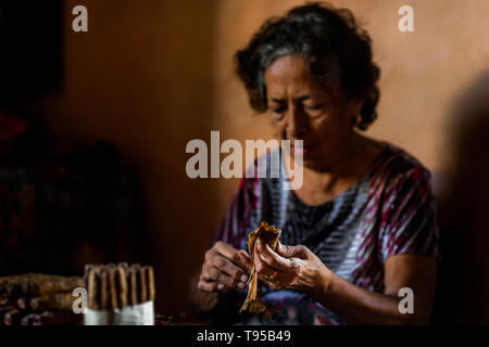 Laura Peña, un 67-ans femme salvadorienne, rouleaux de feuilles de tabac pour faire des cigares faits à la main dans sa maison de Suchitoto, El Salvador. Banque D'Images