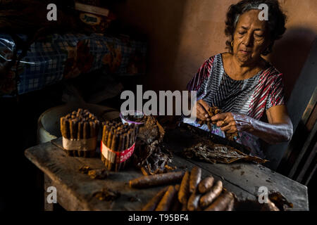 Laura Peña, un 67-ans femme salvadorienne, choisit de faire des feuilles de tabac cigares faits à la main dans sa maison de Suchitoto, El Salvador. Banque D'Images