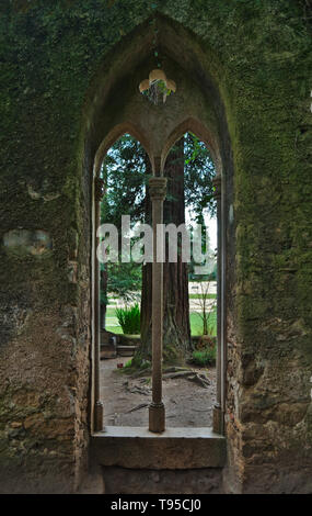 Quinta das Lagrimas portail gothique et fenêtre à Coimbra, Portugal Banque D'Images