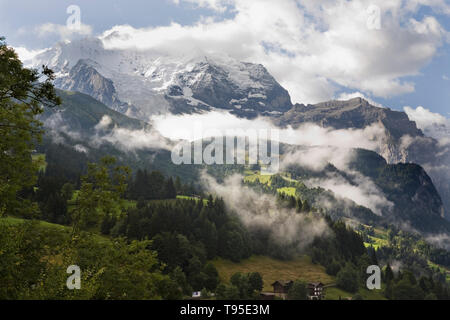 Matin sur la Jungfrau et son glacier (le Giesengletscher), avec l'alpage de Wengernalp ci-dessous : Oberland Bernois, Suisse Banque D'Images