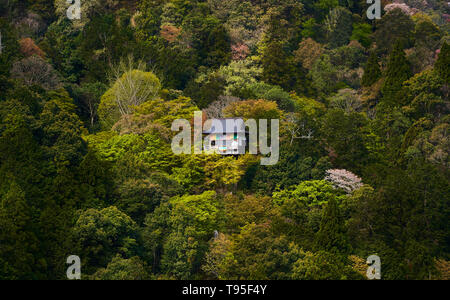 Un seul chalet entre les arbres et arbustes ayant une couleur de printemps vert frais. Image prise en avril dans le parc de Arashiyama le pont d'observation. Le cott Banque D'Images