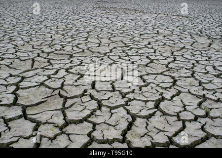 Cracked earth dans le figuratif de fissures. Le concept de la rareté des ressources naturelles en raison de l'activité humaine industrielle active. L'arrière-plan. Banque D'Images