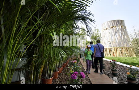 (190516) -- BEIJING, 16 mai 2019 (Xinhua) -- Les touristes visiter l'INBAR (Organisation International Bamboo and Rattan) Jardin de l'Exposition Horticole Internationale de Beijing 2019 (Expo 2019) Beijing dans le district de Yanqing, Beijing, capitale de la Chine, le 16 mai 2019. Le jeudi est le jour de l'honneur de l'Organisation internationale le bambou et le rotin. (Xinhua/Li Xin) Banque D'Images