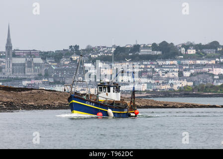 Crosshaven, Cork, Irlande. 17 mai, 2019. Bateau de pêche Olan avec la ville de Cobh en arrière-plan, le retour à son port d'attache de Crosshaven, Espagne Crédit : David Creedon/Alamy Live News Banque D'Images