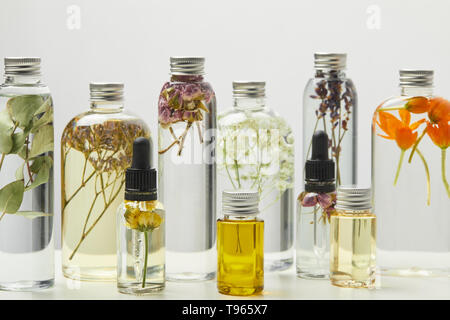 Produits de beauté organiques différentes dans des bouteilles avec des herbes et fleurs isolé sur gray Banque D'Images