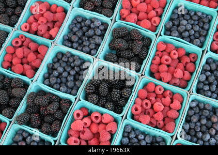 Un assortiment de petits fruits (mûres, myrtilles, framboises, fraises) en vente au marché des fermiers de Californie Banque D'Images