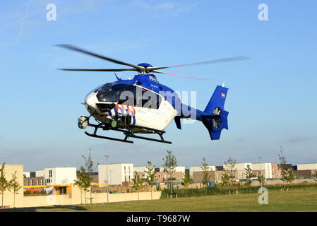 ALMERE POORT, Flevoland, Pays-Bas - le 2 septembre 2013 : hélicoptère de la police néerlandaise d'atterrissage dans un parc de banlieue. Banque D'Images