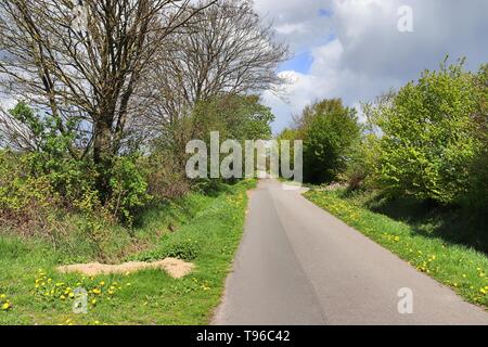 Empty country road sans voitures avec quelques arbres et un ciel bleu trouvé dans le nord de l'Allemagne Banque D'Images