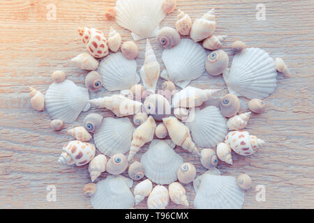 Beau motif mandala shell faits de coquillages. Voyageant des lieux exotiques contexte concept. Banque D'Images