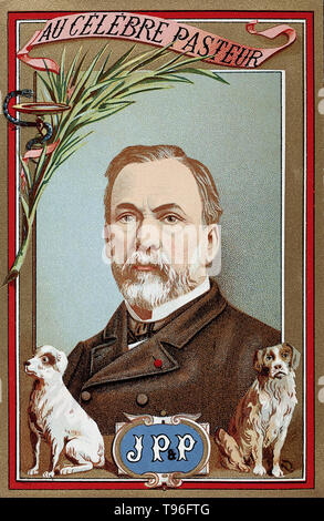 Louis Pasteur, avec deux chiens (en référence à ses travaux sur la rage), un Palm et un serpent autour d'un bol (indiquant l'atteinte à l'hygiène). Louis Pasteur (27 décembre 1822 - 28 septembre 1895) était un chimiste français, et qui a fondé le bactériologiste La science de la microbiologie. Le pâturage a découvert qu'il pouvait être causée par une bactérie transmise de personne à personne (la théorie des germes de maladies). Il a également mis au point des vaccins contre la rage et de l'anthrax. Banque D'Images