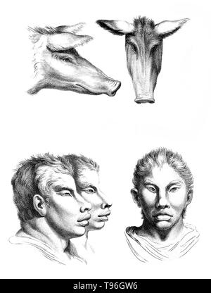 L'objectif de physiognomy est à juger les gens en fonction de caractéristiques du visage. Charles Le Brun (24 février 1619 - 12 février 1690) était un peintre français, théoricien d'art, décorateur et peintre de la cour de Louis XIV. Banque D'Images