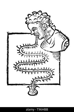 Primum Instrumentum. Santorio Santorio (Mars 29, 1561 - février 22, 1636) était un médecin physiologiste, vénitien, et le professeur, qui a présenté l'approche quantitative en médecine. Il est également connu comme l'inventeur de plusieurs instruments médicaux. Son travail de Statica Medicina, écrit en 1614, a vu un grand nombre de publications et influencé des générations de médecins. Santorio a introduit le thermoscope dans Sanctorii Sanctorii l'œuvre intitulée Commentaria in artem medicinalem Galeni en 1612. Banque D'Images