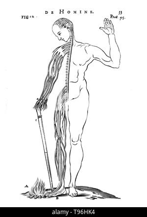 Arc réflexe nerveux. Gravure d'un homme debout à côté du feu avec la moitié de son système nerveux central visible. Le feu déclenche une impulsion nerveuse qui se déplace vers le cerveau, dans une autre fibre nerveuse et haut de la musculature de jambe. La jambe se branle loin de la douleur sans pensée consciente dans un arc réflexe. Descartes avait initialement prévu de publier De homine en 1633, mais entendre la condamnation de Galilée par l'Église, il s'inquiète pour sa propre sécurité et a refusé de le faire imprimer. Banque D'Images