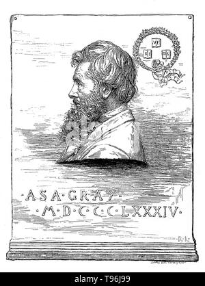 Asa Gray (Novembre 18, 1810 - janvier 30, 1888) est considéré comme le plus important botaniste américain du xixe siècle. Il a joué un rôle déterminant dans l'unification de la connaissance taxonomique des plantes d'Amérique du Nord. De Gray's nombreux ouvrages sur la botanique, le plus populaire était son ''Manuel de la Botanique du nord des États-Unis, à partir de la Nouvelle Angleterre pour le Wisconsin et au sud jusqu'à l'Ohio et la Pennsylvanie inclusive''. Banque D'Images